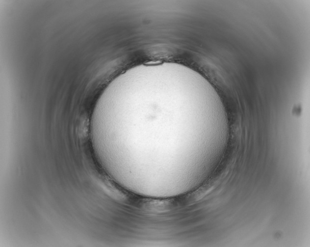 X0000093590081200711051146