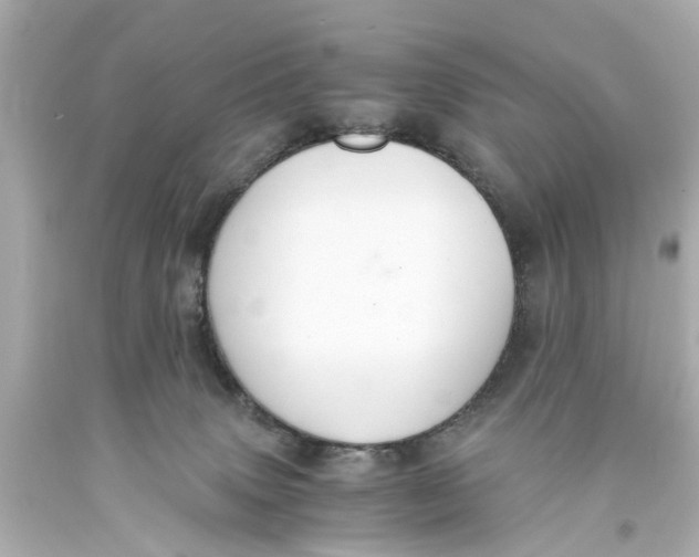 X0000093590083200711051146