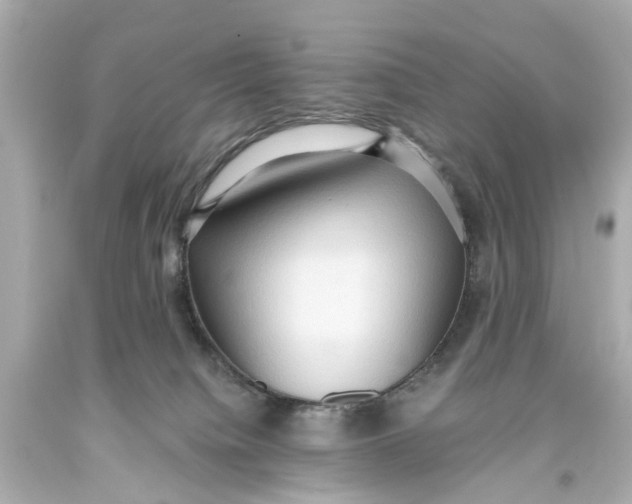 X0000093590084200711051146