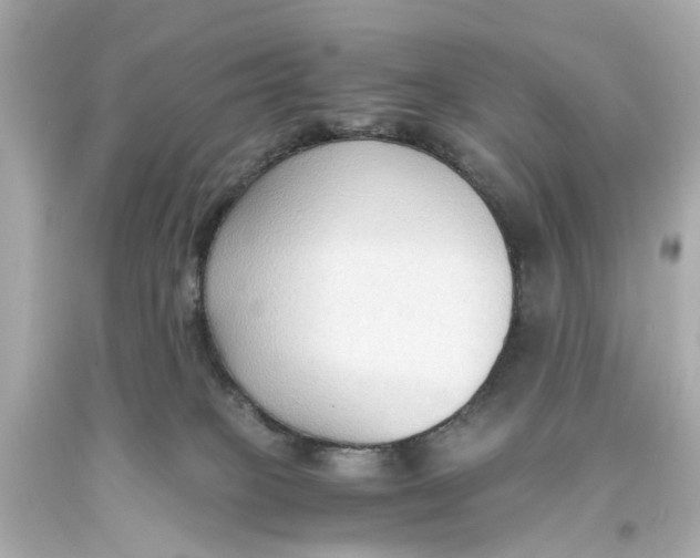 X0000093590085200711051146