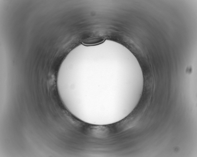 X0000093590087200711051146