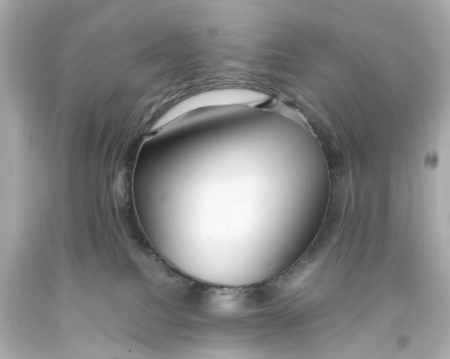 X0000093590088200711051146
