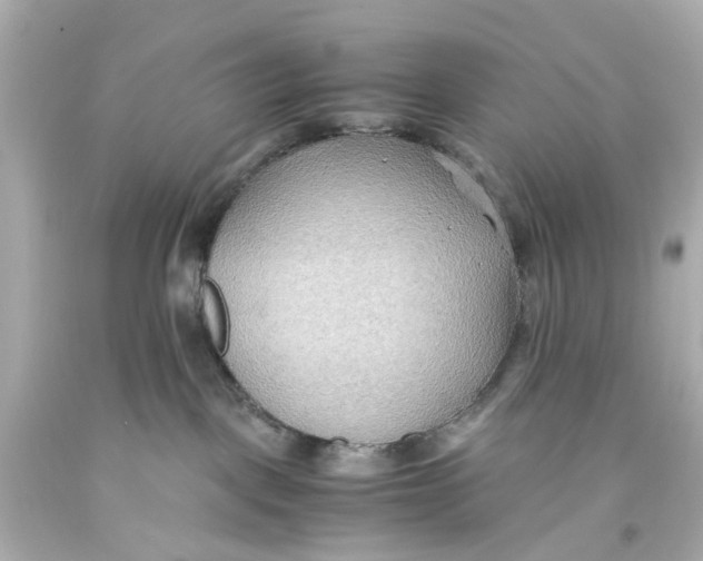 X0000093590093200711051146