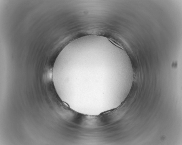 X0000093590095200711051146