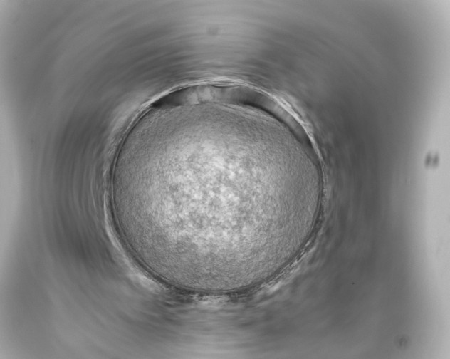 X0000093590097200711051146