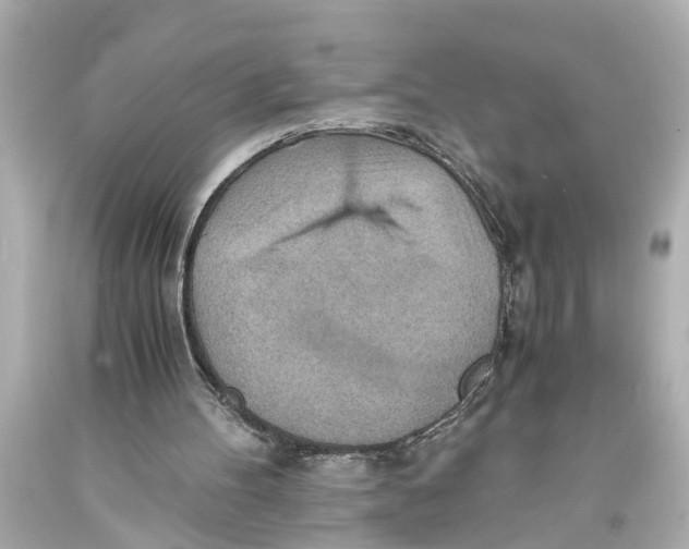 X0000093590100200711051146