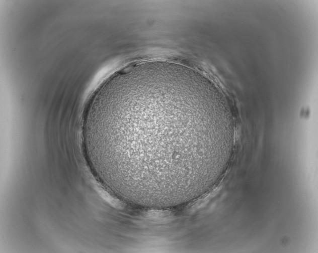 X0000093590101200711051146