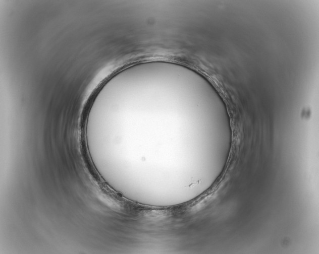 X0000093590102200711051146