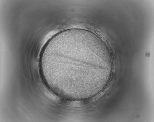 X0000093590104200711051146
