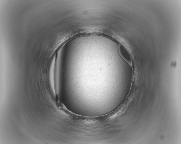 X0000093590105200711051146