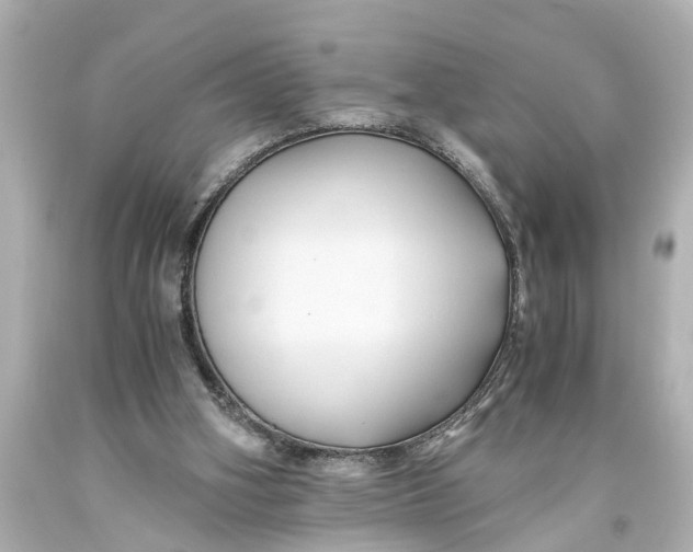 X0000093590106200711051146
