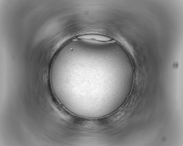 X0000093590107200711051146