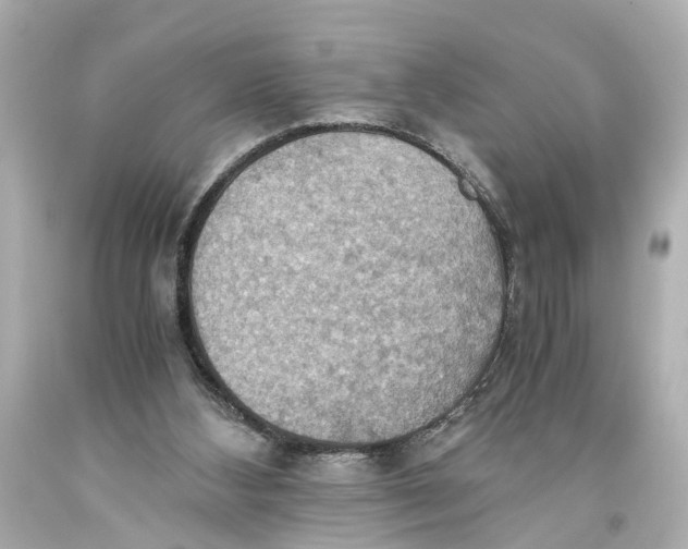X0000093590108200711051146