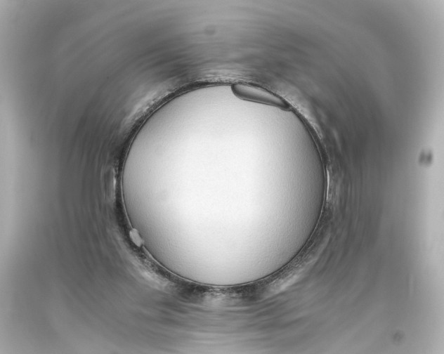 X0000093590109200711051146