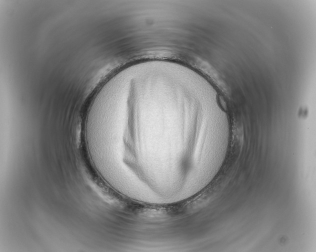 X0000093590110200711051146