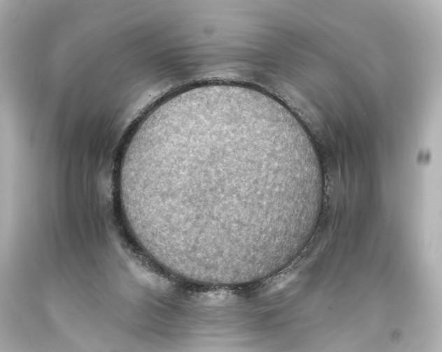 X0000093590112200711051146