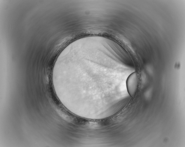 X0000093590114200711051146