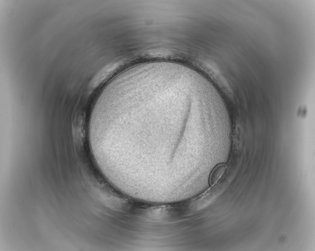 X0000093590116200711051146