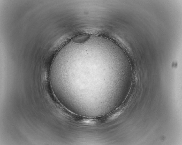 X0000093590117200711051146
