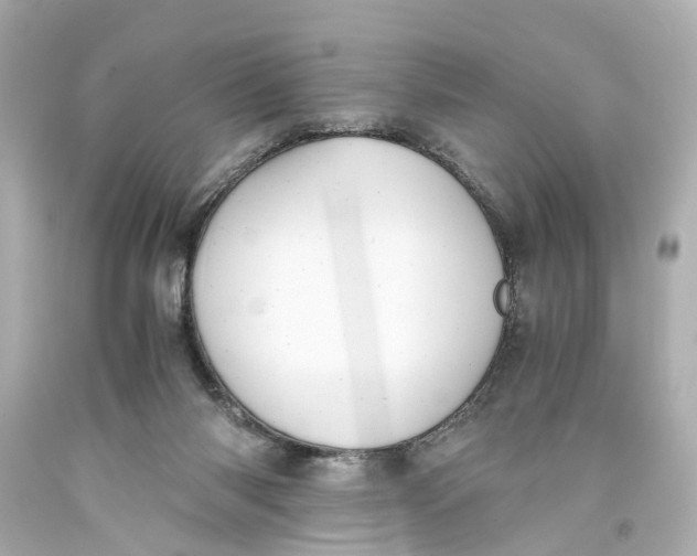 X0000093590118200711051146