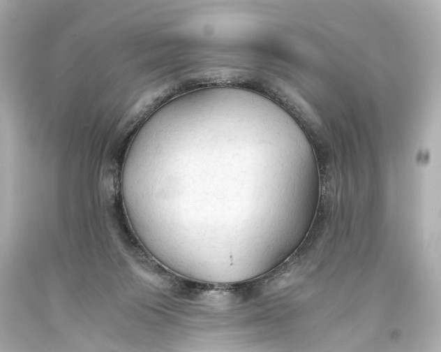 X0000093590119200711051146
