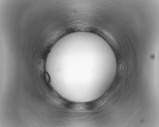 X0000093590121200711051146