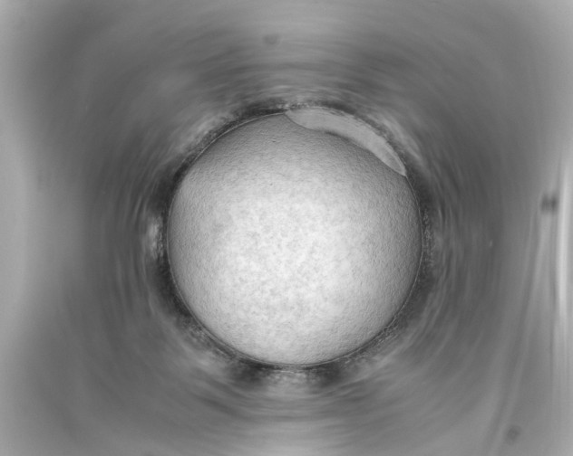 X0000093590123200711051146