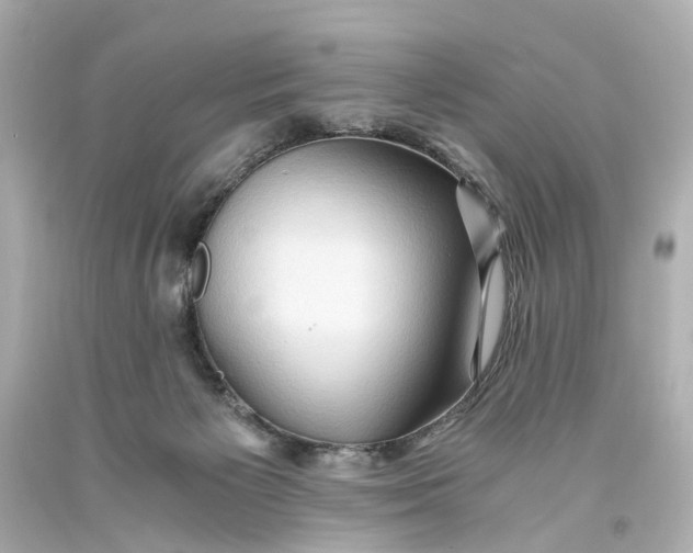 X0000093590125200711051146