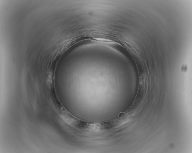 X0000093590127200711051146