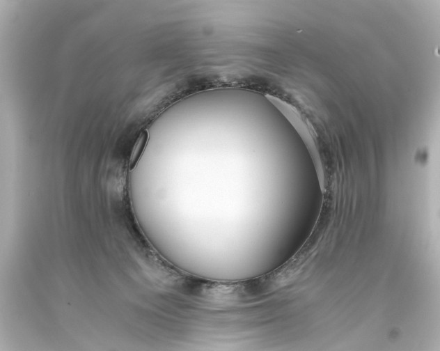 X0000093590129200711051145