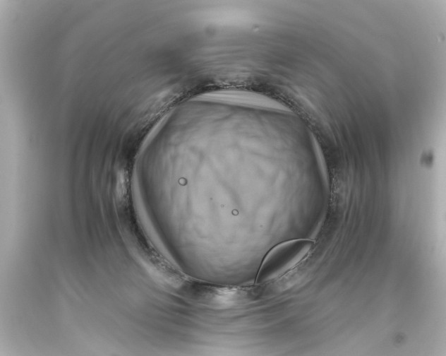 X0000093590130200711051145
