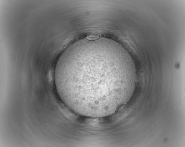 X0000093590131200711051145