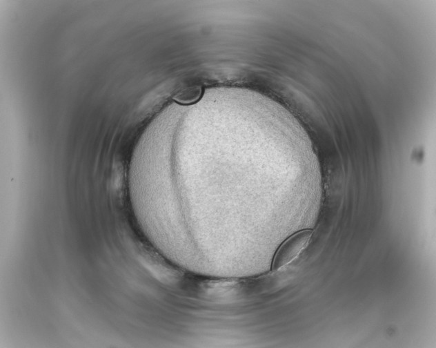 X0000093590132200711051145