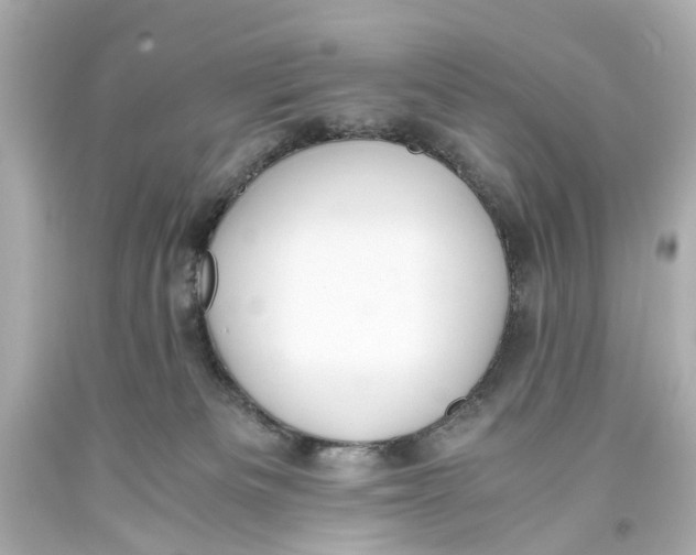 X0000093590133200711051145