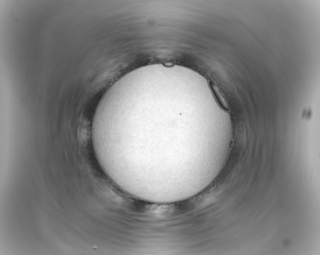 X0000093590135200711051145