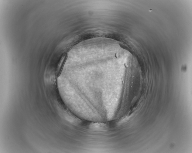 X0000093590137200711051145