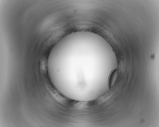 X0000093590138200711051145