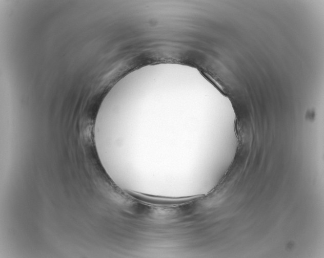 X0000093590141200711051145