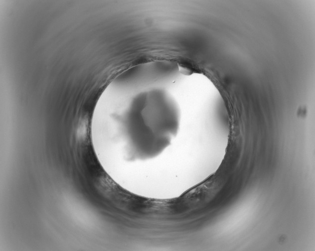 X0000093590143200711051145