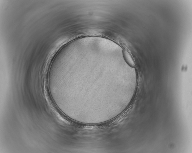 X0000093590145200711051145