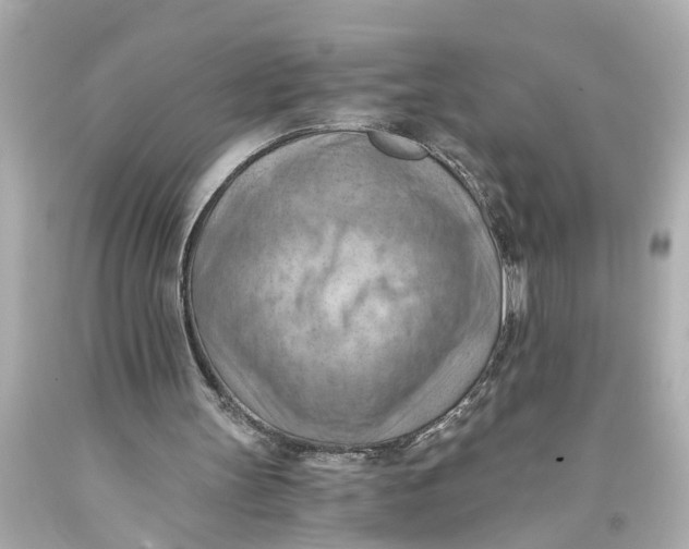 X0000093590147200711051145
