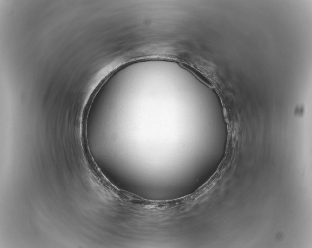 X0000093590148200711051145