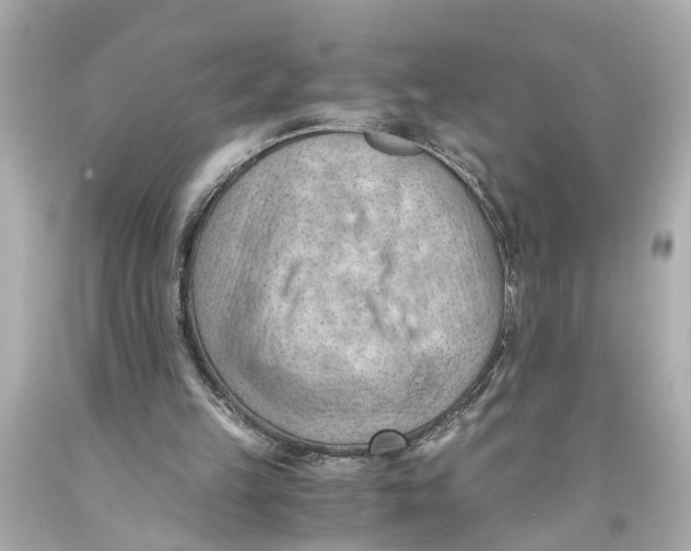 X0000093590149200711051145