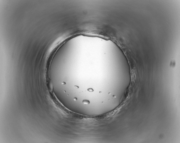 X0000093590150200711051145