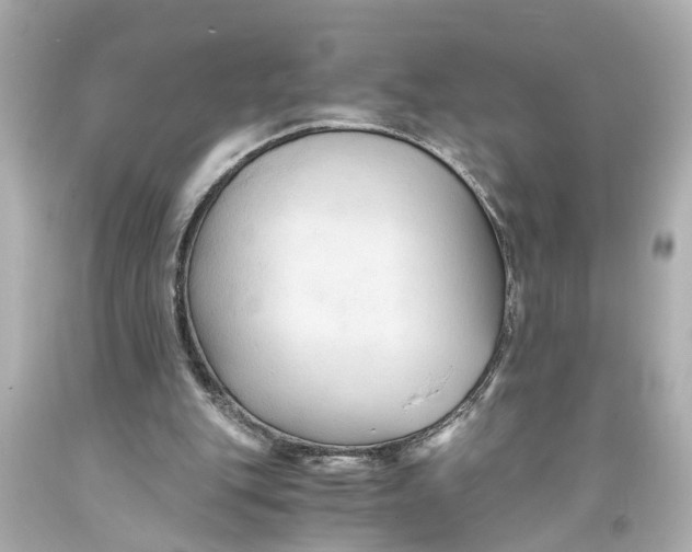 X0000093590151200711051145