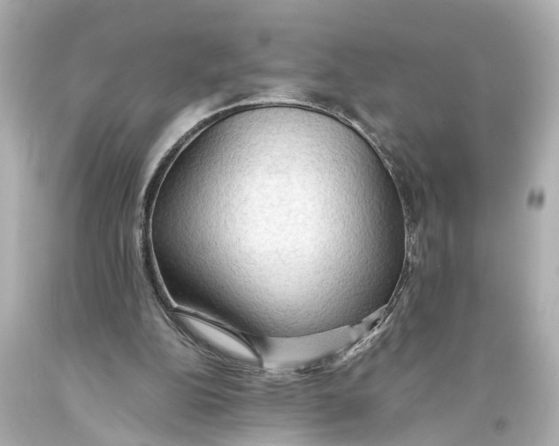 X0000093590152200711051145