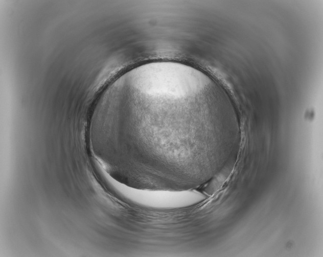 X0000093590154200711051145