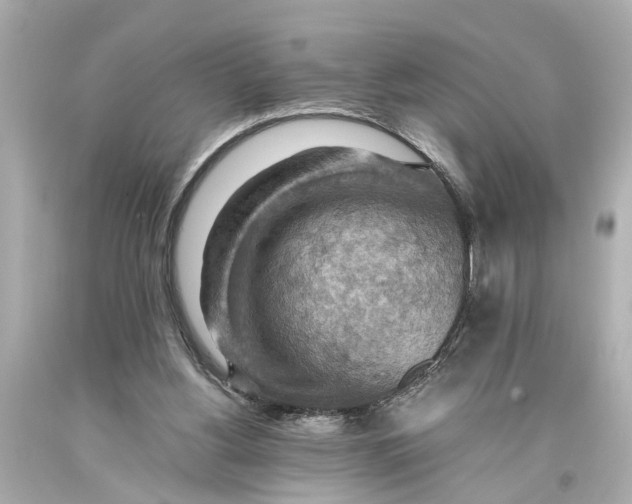 X0000093590156200711051145