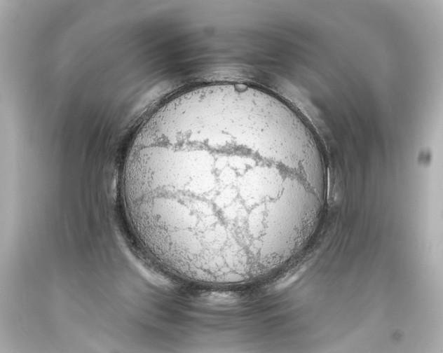 X0000093590157200711051145