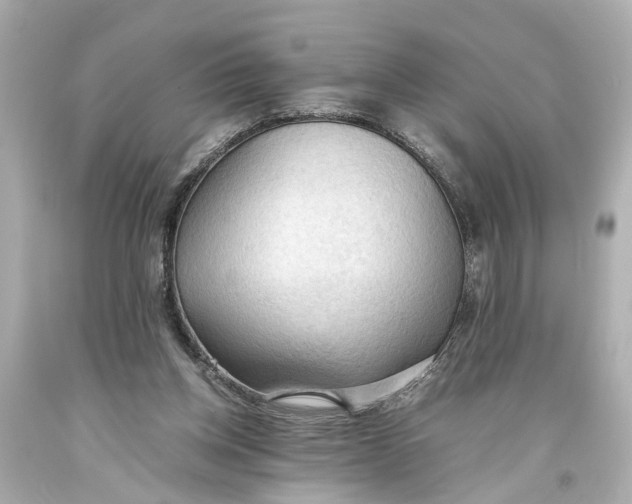 X0000093590158200711051145